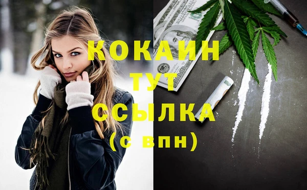 мдпв Волоколамск