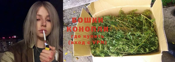мдпв Волоколамск